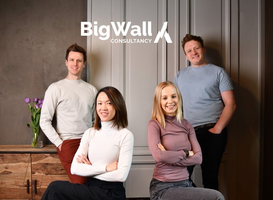 Work with the Big Wall Consultancy Experts